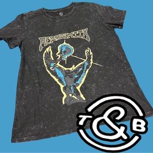 NWOT Nordstrom T&B Aerosmith t-shirt in mineral washed grey-black. Size M 🎸